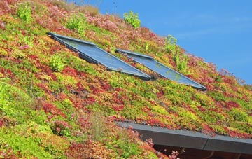 Hebburn New Town living roof systems